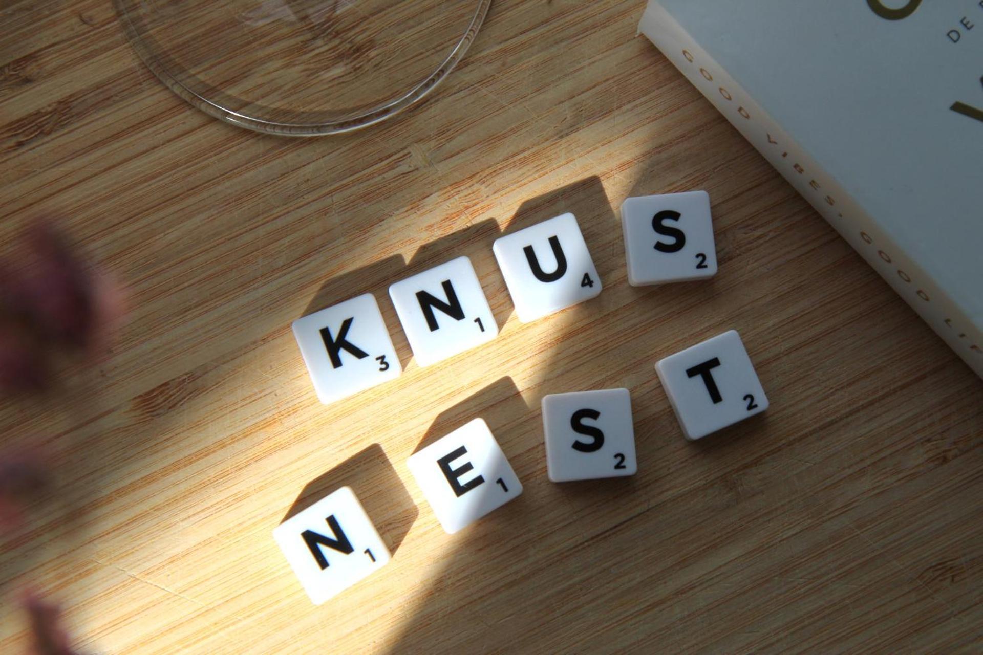 Buitenverblijf Nest Arnhem Exterior foto